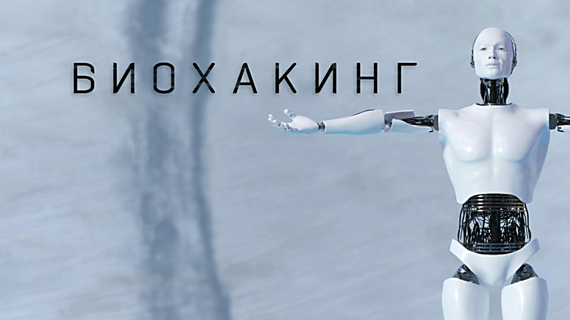 Искусство биохакинга: Как оптимизировать работу мозга и тела в условиях мегаполиса